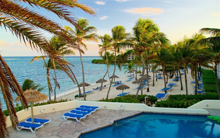 Caribe, resort, tarde, palmeras, islas tropicales, oc&#233;ano, Antigua y Barbuda
