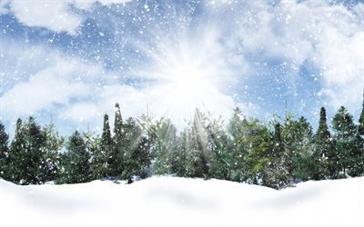 invierno, nieve, bosque, &#225;rboles, por la ma&#241;ana, paisaje de invierno