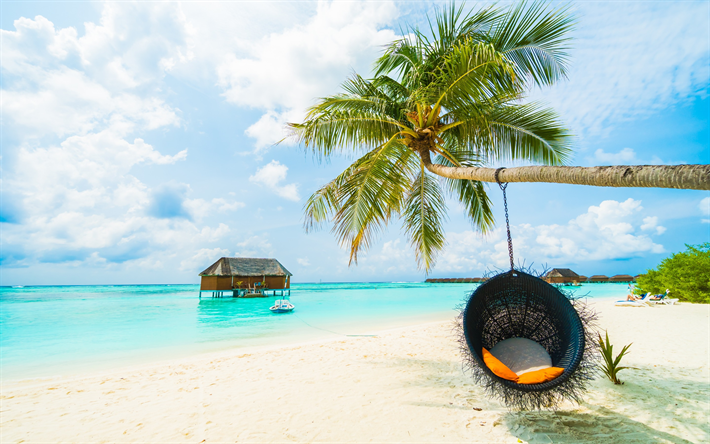 Maldives, spiaggia, palma sedia, estivo, bungalow, isole tropicali, oceano, ciondolo sedia