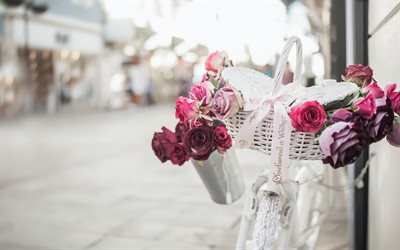 pink flowers, bicycle, street scenery, roses
