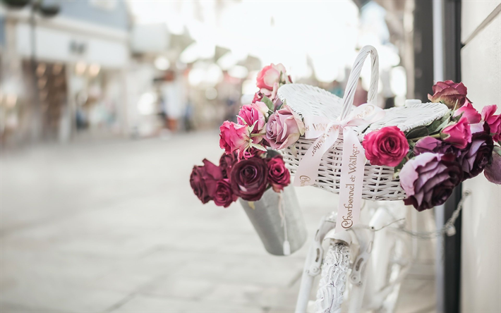 flores cor de rosa, bicicleta, rua paisagem, rosas