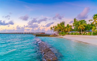 playa tropical, mar, laguna azul, islas tropicales, palmeras, Maldivas, por la ma&#241;ana, salida del sol
