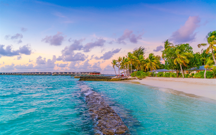 praia tropical, oceano, lagoa azul, ilhas tropicais, palmas, Maldivas, manh&#227;, nascer do sol