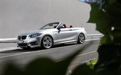 BMW 2-سلسلة, 4k, cabriolets, 230i, 2018 السيارات, BMW