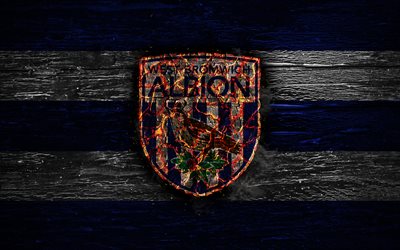 Il West Bromwich Albion FC, fuoco, logo, Campionato, blu e bianco a righe, il club di calcio inglese, grunge, calcio, calcetto, il West Bromwich Albion, di legno, texture, Inghilterra