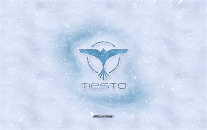 Tiesto logotipo, invierno conceptos, holand&#233;s DJ, Tijs Michiel Verwest, la textura de la nieve, la nieve de fondo, Tiesto con el emblema de invierno de arte, Tiesto