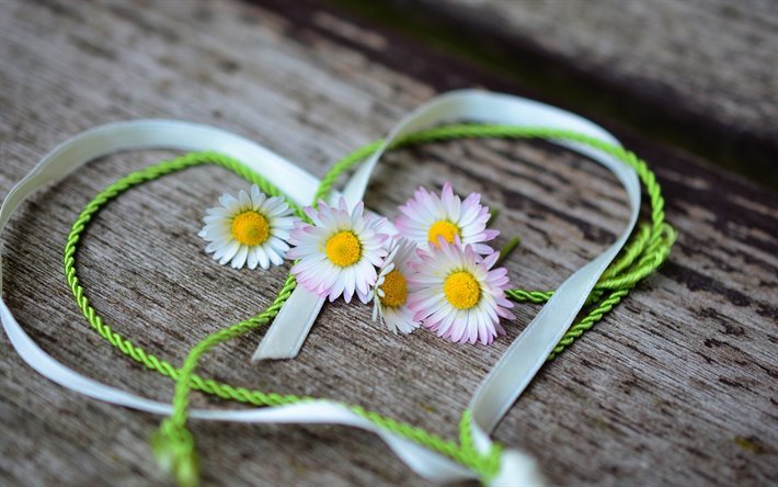 Download wallpapers Valentines Day, heart silk ribbon, daisies, wooden  background, creative heart for desktop free. Pictures for desktop free