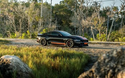 2019, Ford Mustang Shelby GT-S, preto cup&#234; esportivo, vista frontal, Mustang tuning, american carros esportivos, Ford