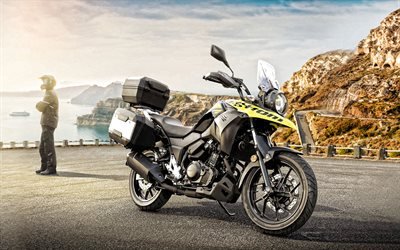 Suzuki V-Strom 250 ABS, 2019, vista de frente, motocicletas nuevas, negro-amarillo V-Strom 250, japon&#233;s de motocicletas, Suzuki