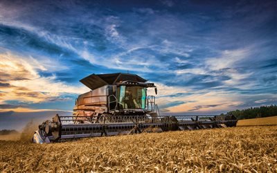 Massey Ferguson Ideale 9T, HDR, la raccolta del grano, 2019 combina, combinare, Massey Ferguson, combinare-mietitrebbia, macchine agricole