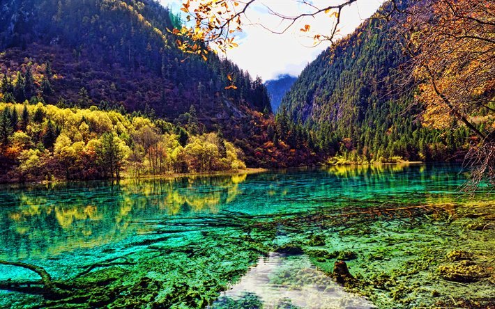 4k, Jiuzhaigou国立公園, 美しい自然, 秋, 青湖, 森林, 中国, 中国自然, アジア, 渓谷の村