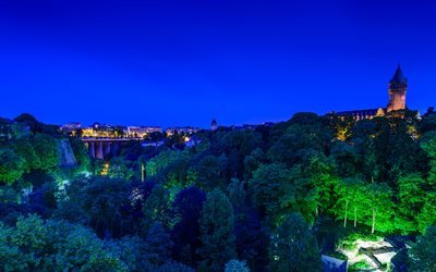 Lussemburgo, notte, ponte, castello, foresta