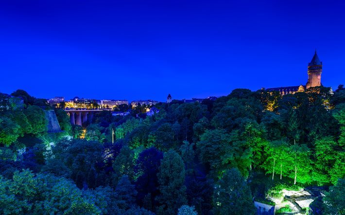 Luxemburg, natt, bro, slottet, skogen