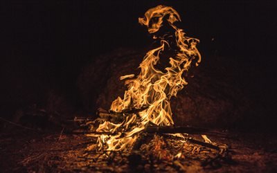 hoguera, 4k, el fuego, la noche, el bosque, el fuego de las llamas