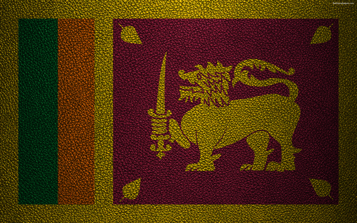 フラグのスリランカ, 4K, 革の質感, スリランカのフラグ, アジア, 世界の国旗, スリランカ