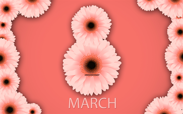 8 mars, lila bakgrund, Happy Womens Day, v&#229;ren, rosa krysantemum, rosa v&#229;rens blommor, 8 mars gratulationskort