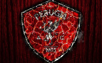 AC Perugia UEFA, logo, Seri B, kırmızı ahşap arka plan, İtalyan Futbol Kul&#252;b&#252; yakılmış, Perugia FC, grunge, futbol, Perugia logo, yangın, doku, İtalya