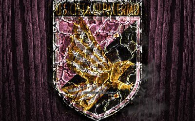 US Palermo, scorched logo, Serie B, pink wooden background, italian football club, Palermo FC, grunge, football, soccer, Palermo logo, fire texture, Italy