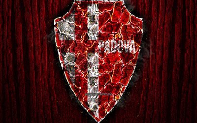 Calcio Padova, scorched logo, Serie B, red wooden background, italian football club, Padova FC, grunge, football, soccer, Padova logo, fire texture, Italy