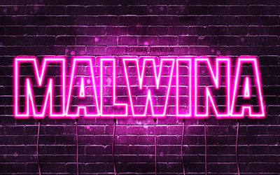 Malwina, 4k, pap&#233;is de parede com nomes, nomes femininos, nome Malwina, luzes de n&#233;on roxas, Feliz Anivers&#225;rio Malwina, nomes femininos poloneses populares, imagem com o nome Malwina