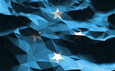 4k, Micronesian flag, low poly art, Oceanian countries, national symbols, Flag of Micronesia, 3D flags, Micronesia flag, Micronesia, Oceania, Micronesia 3D flag
