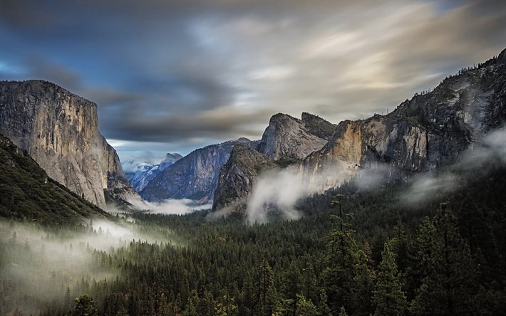 Vall&#233;e de Yosemite, &#233;t&#233;, paysage de montagne, for&#234;t, vall&#233;e, Parc National de Yosemite, monuments am&#233;ricains, Sierra Nevada, USA, Am&#233;rique, montagnes, belle nature