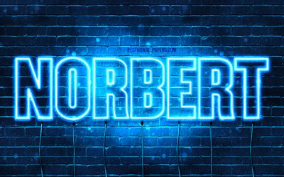 Norbert, 4k, wallpapers with names, Norbert name, blue neon lights, Happy Birthday Norbert, popular polish male names, picture with Norbert name