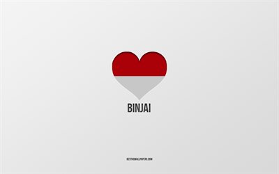 Binjai&#39;yi Seviyorum, Endonezya şehirleri, Binjai G&#252;n&#252;, gri arka plan, Binjai, Endonezya, Endonezya bayrağı kalbi, favori şehirler