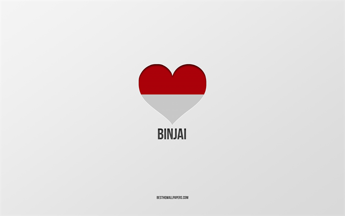 Binjai&#39;yi Seviyorum, Endonezya şehirleri, Binjai G&#252;n&#252;, gri arka plan, Binjai, Endonezya, Endonezya bayrağı kalbi, favori şehirler