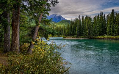Banff National Park, mountain river, evening, sunset, mountain landscape, forest, Canada, Canadian nature