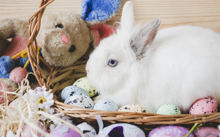 blanco esponjoso conejo de Pascua, primavera, huevos de Pascua, cesta, en abril de 2018, las vacaciones de primavera