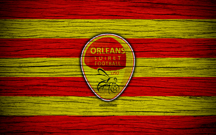 Orleans FC, 4k, Ligue 2, fotboll, tr&#228;-struktur, Frankrike, OSS Orleans Loiret, football club, Liga 2, FC Orleans