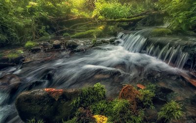 mountain stream, running water, forest, mountains, rocks, mountain river
