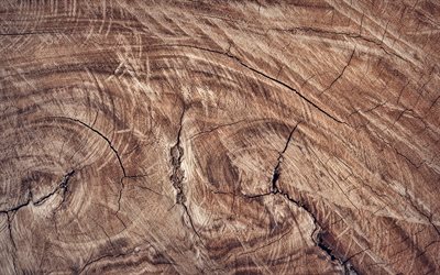 de madera de color marr&#243;n textura, macro, madera, antecedentes, de madera, texturas, fondo marr&#243;n, de madera clara