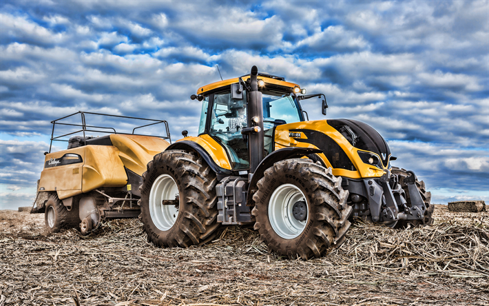 Valtra T 230 CVT, 4k, sato, 2019 traktorit, maatalouskoneiden, HDR, Valtra T-sarja, korjuu maissi, traktorin alalla, maatalous, Valtra