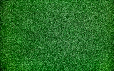 緑の芝生の質感, マクロ, グリーン, 草感, 緑の芝生, 近, 芝トップ