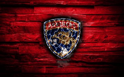 Florida Panthers, ateşli logosu, NHL, kırmızı ahşap arka plan, Amerikan hokey takımı, grunge, Doğu Konferansı, hokey, Florida Panthers logo, yangın doku, ABD