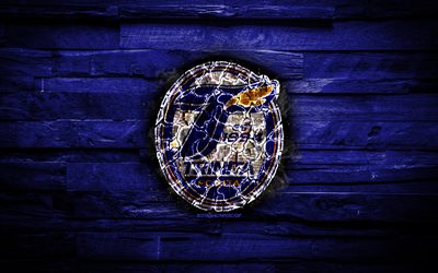 Oita Trinita FC, fiery logo, blue wooden background, J-League, japanese football club, grunge, football, Oita Trinita logo, fire texture, Japan, soccer