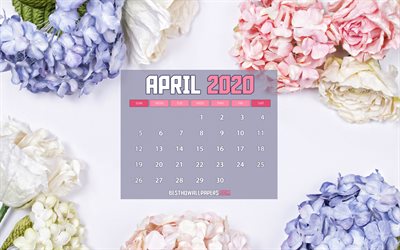 April 2020 Calendar, floral frame, 2020 calendar, 4k, spring calendars, April 2020, creative, white backgrounds, April 2020 calendar with tulips, Calendar April 2020, artwork, 2020 calendars