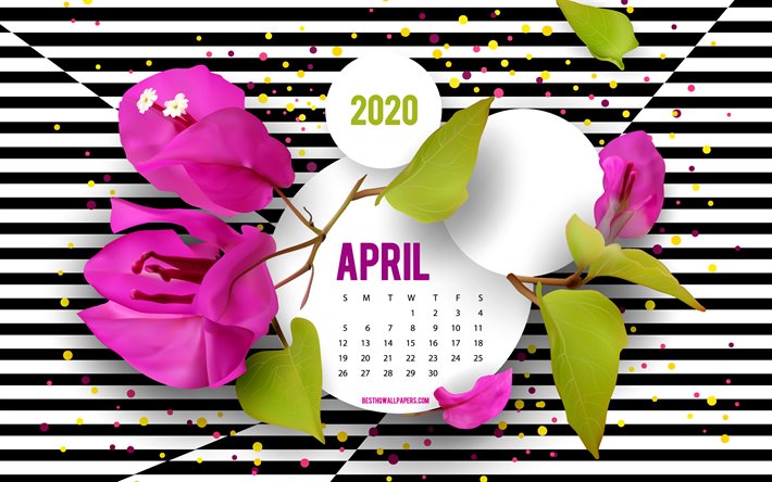 2020 Calendario de abril, de fondo con flores, arte creativo, abril de 2020 primavera calendarios, negro y blanco a rayas de fondo, abril de 2020 Calendario, flores de color p&#250;rpura
