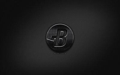 Burstcoin黒ロゴ, cryptocurrency, グリッドの金属の背景, Burstcoin, 作品, 創造, cryptocurrency看板, Burstcoinロゴ