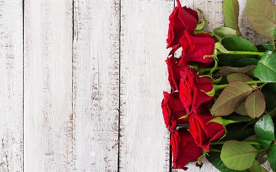 bouquet de roses rouges, de bois blanc d&#39;arri&#232;re-plan, les roses rouges, de belles fleurs, des roses