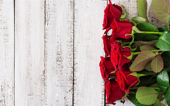 bouquet de roses rouges, de bois blanc d&#39;arri&#232;re-plan, les roses rouges, de belles fleurs, des roses