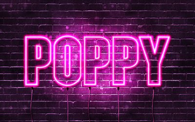 Poppy, 4k, wallpapers with names, female names, Poppy name, purple neon lights, horizontal text, picture with Poppy name