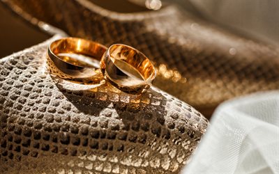 Anelli di nozze d&#39;oro, nozze concetti, scarpe sposa, accessori sposa, matrimonio, anelli d&#39;oro