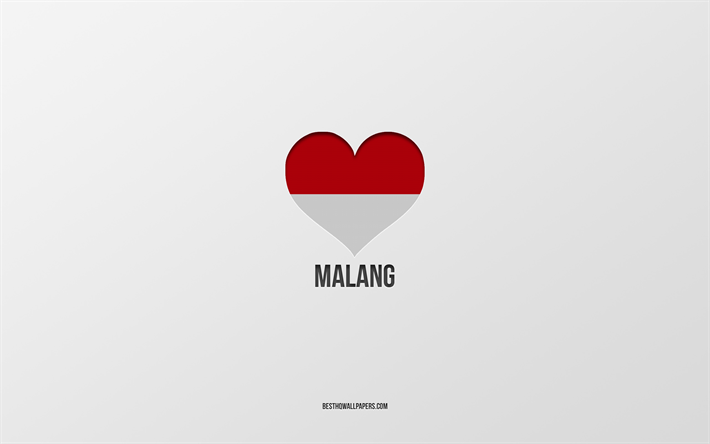 I Love Malang, Indonesian cities, Day of Malang, gray background, Malang, Indonesia, Indonesian flag heart, favorite cities, Love Malang