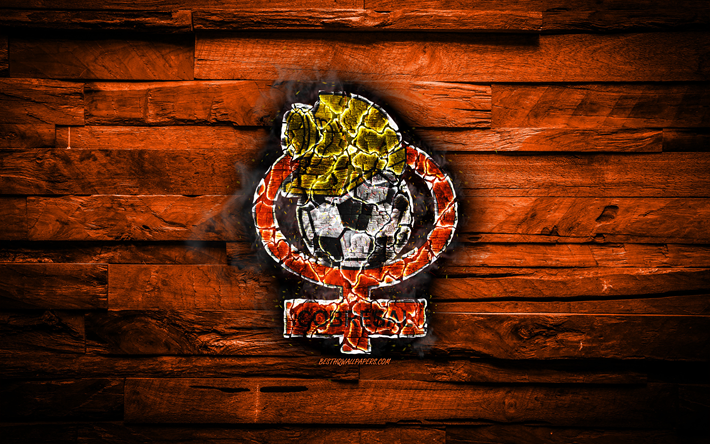 Cobresal FC, gravure de logo, Chilienne, la Primera Division, orange fond de bois, chilienne, club de football, CD Cobresal, grunge, de football, de soccer, de Cobresal logo, El Salvador, Chili