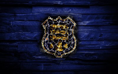 Waterford FC, burning logo, Premier Division, blue wooden background, Irish football club, grunge, football, soccer, Waterford logo, Waterford, Ireland