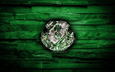 Shamrock Rovers FC, burning logo, Premier Division, green wooden background, Irish football club, grunge, football, soccer, Shamrock Rovers logo, Tallaght, Ireland