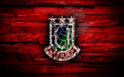 Union La Calera FC, burning logo, Chilean Primera Division, red wooden background, chilean football club, CD Union La Calera, grunge, football, soccer, Union La Calera logo, La Calera, Chile
